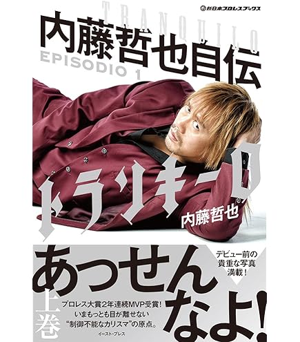 塗装済完成品 内藤哲也 1/20 PS製 組み立て式プラスチックモデル 塗装済完成品 内藤哲也 1/20 PS製 組み立て式プラスチックモデル